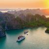 arcady boutique cruise