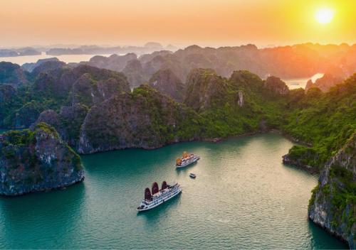 arcady boutique cruise
