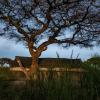 tulia amboseli safari camp