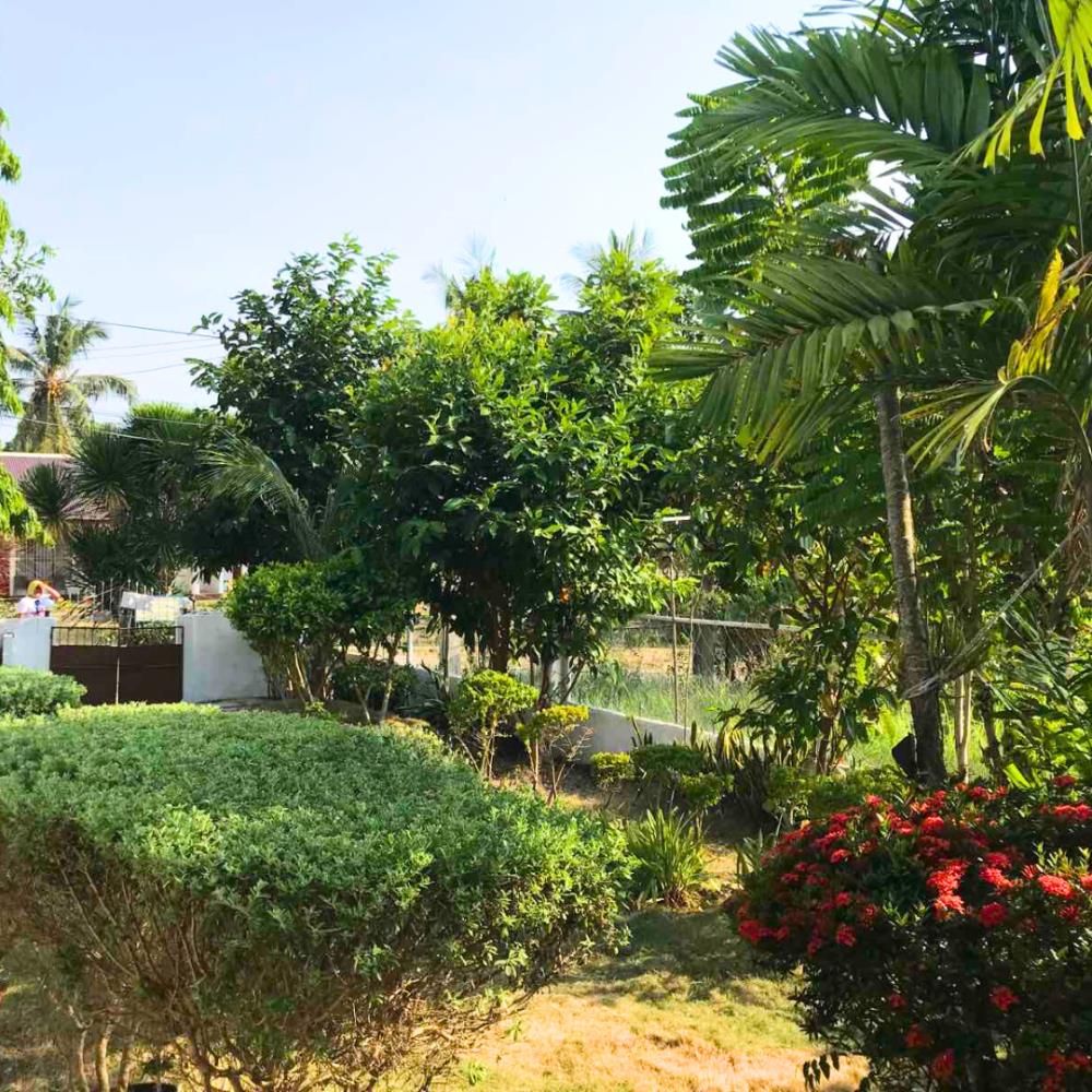 gertys tourist inn powered by cocotel