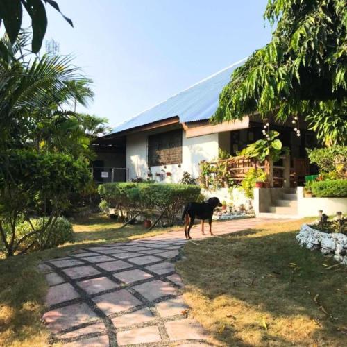 gertys tourist inn powered by cocotel