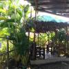 moalboal