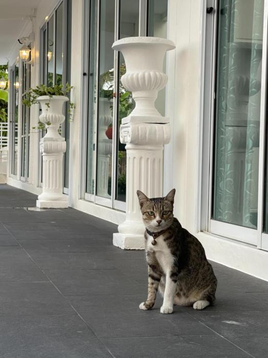 ivory house sriracha