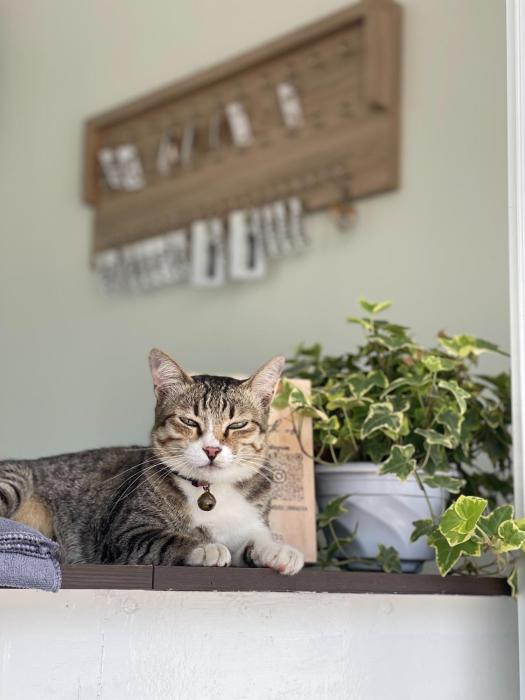 ivory house sriracha