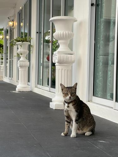 ivory house sriracha