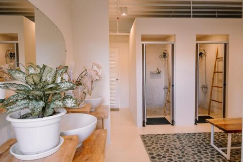 happiness hostel siargao
