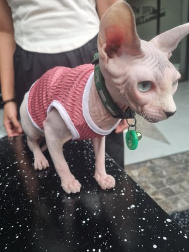 met a space pod phrom phong