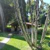 itatiaia