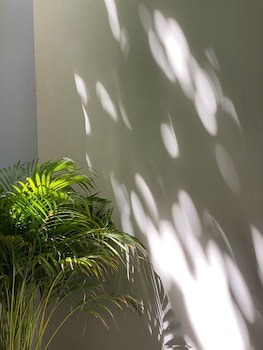 suncloud hotel koh samet