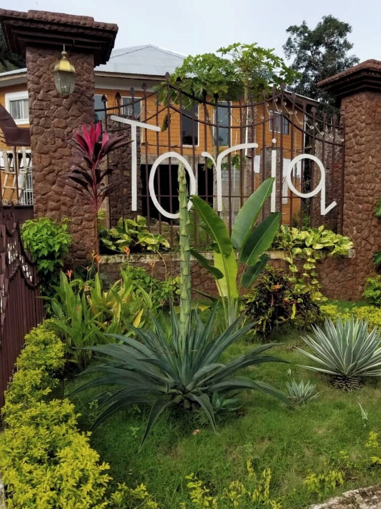 tariqs resort and restaurant