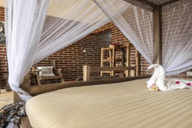 africa safari karatu