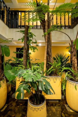 hoianan boutique hotel