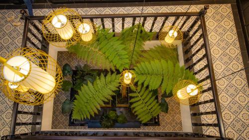 hoianan boutique hotel