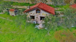 the mira house