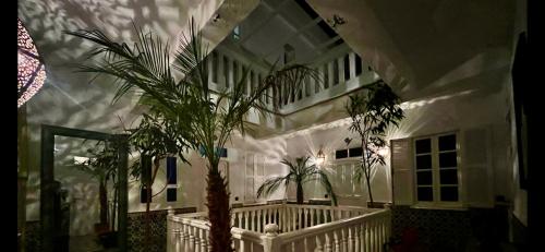riad malaika