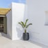 mykonos