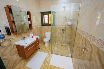 pension michel villa roche bois