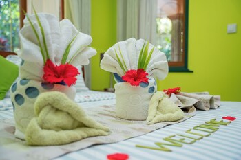 pension michel villa roche bois