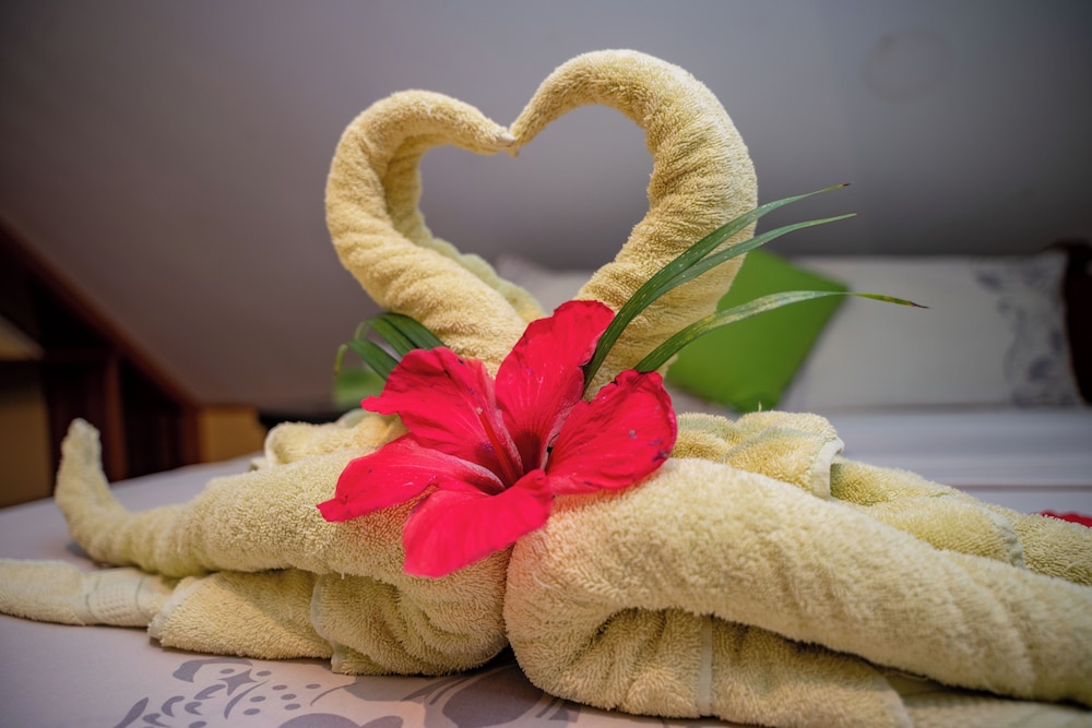 pension michel villa roche bois