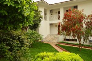 white otel