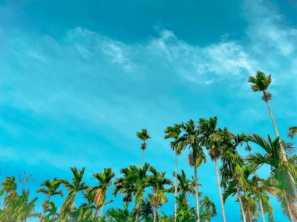 phan thiet