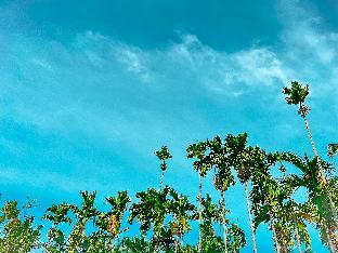 phan thiet