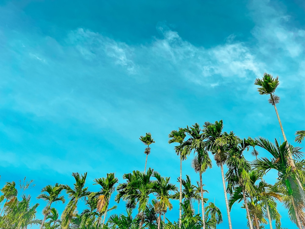 phan thiet