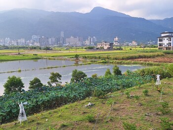 xian jing bandb