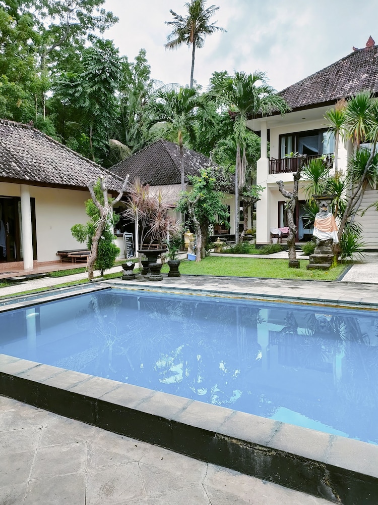 rising star dive resort