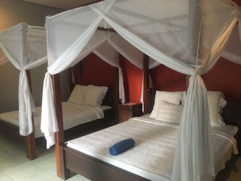 rising star dive resort