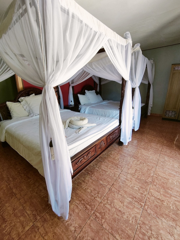 rising star dive resort