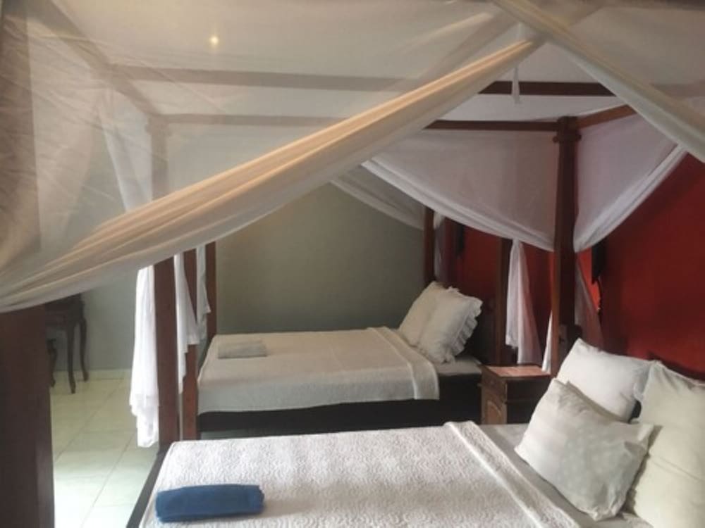 rising star dive resort