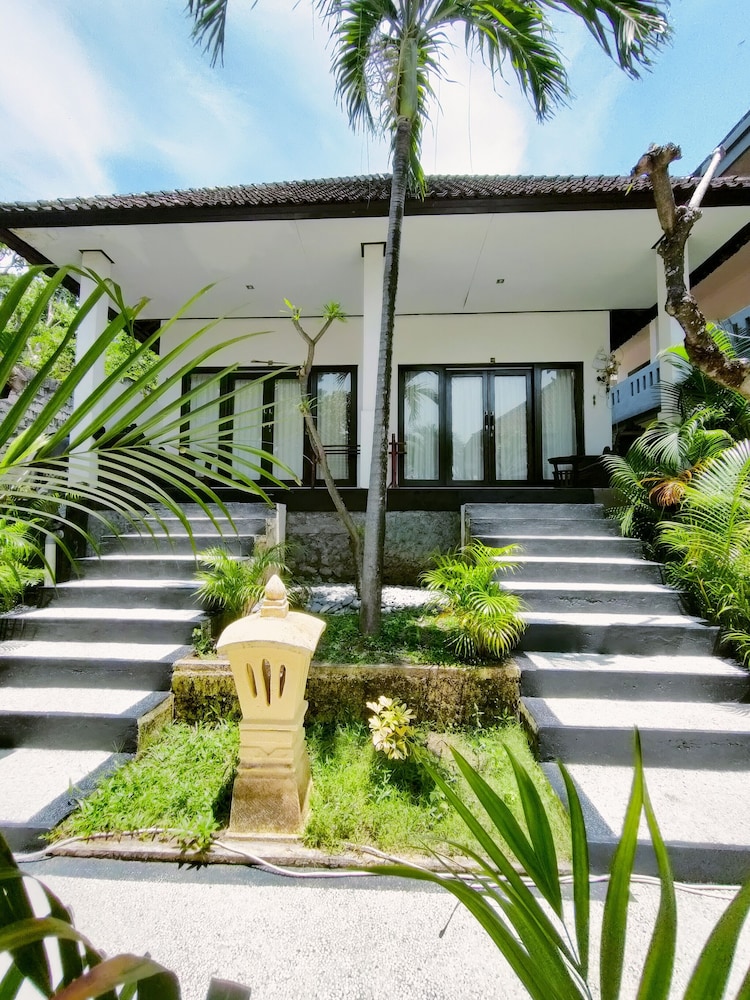 rising star dive resort