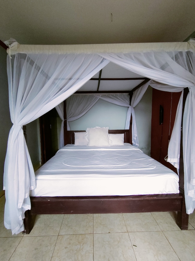 rising star dive resort