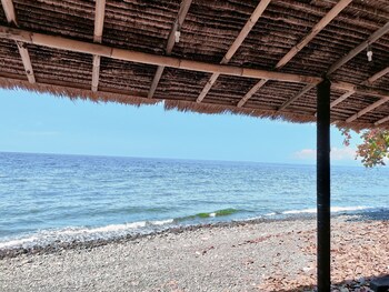 rising star dive resort