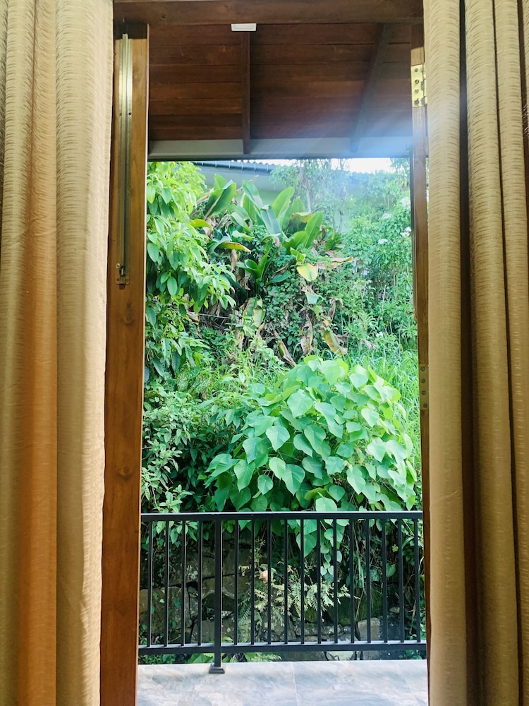 jungle city hostel