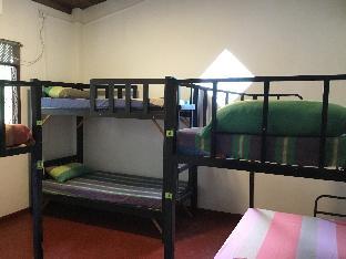 jungle city hostel