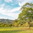 hacienda la huerta