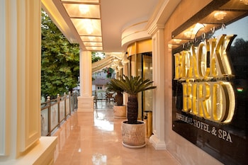 black bird thermal hotel and spa