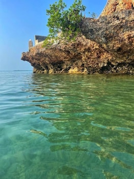 kidoti bay