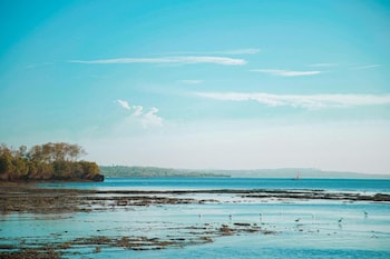 kidoti bay