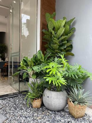 bai chay panda hotel