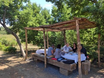 intense boutik ha tel