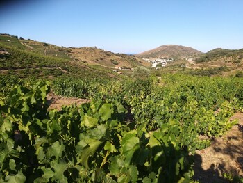 intense boutik ha tel