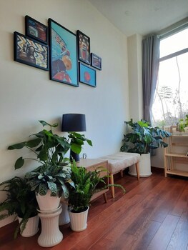 golden hills villa the windy bnb2