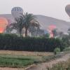 luxor