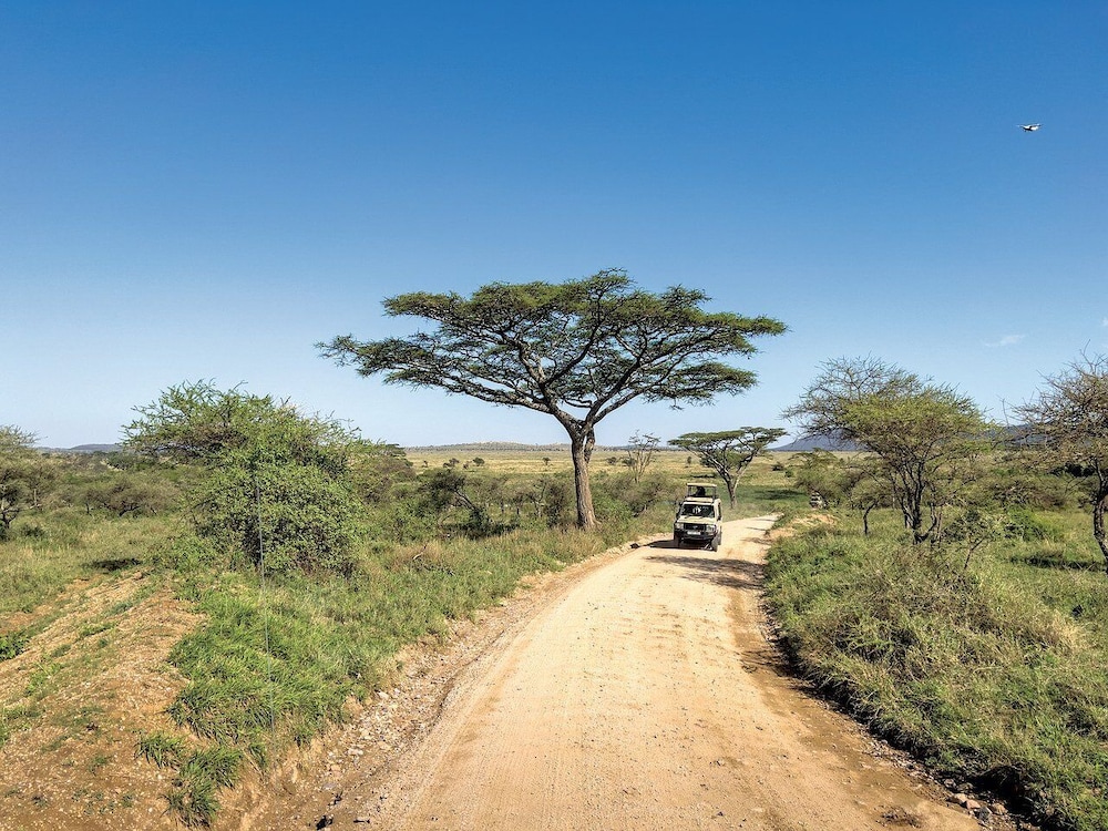 latonna safari hotel