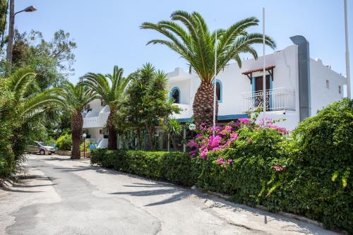 agios vasileios
