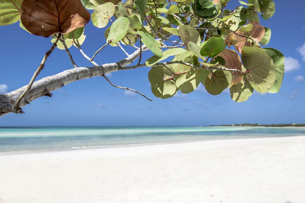 cayo coco