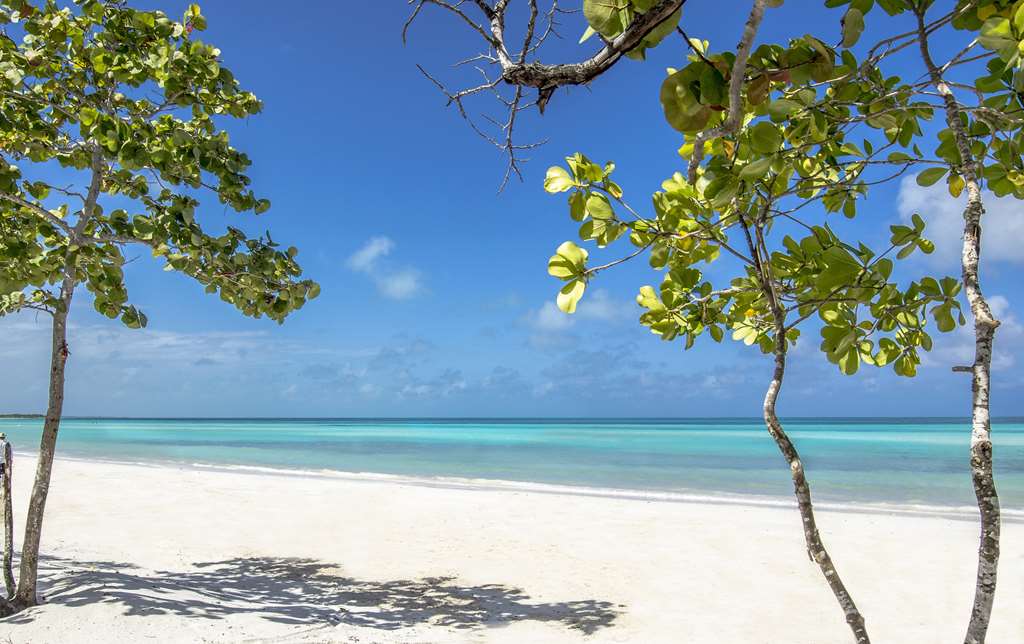 cayo coco